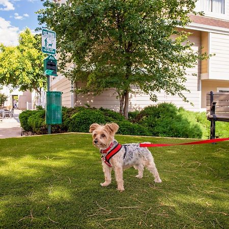 Residence Inn Denver Downtown מראה חיצוני תמונה